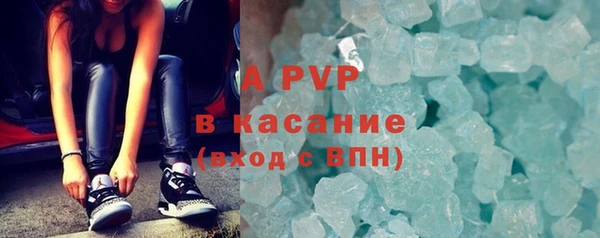 прущие грибы Покровск