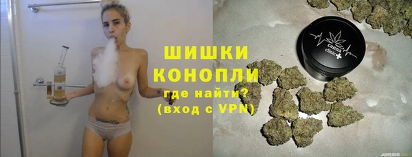 прущие грибы Покровск