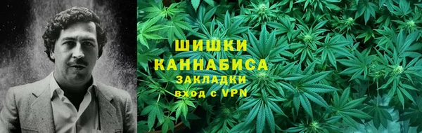 прущие грибы Покровск